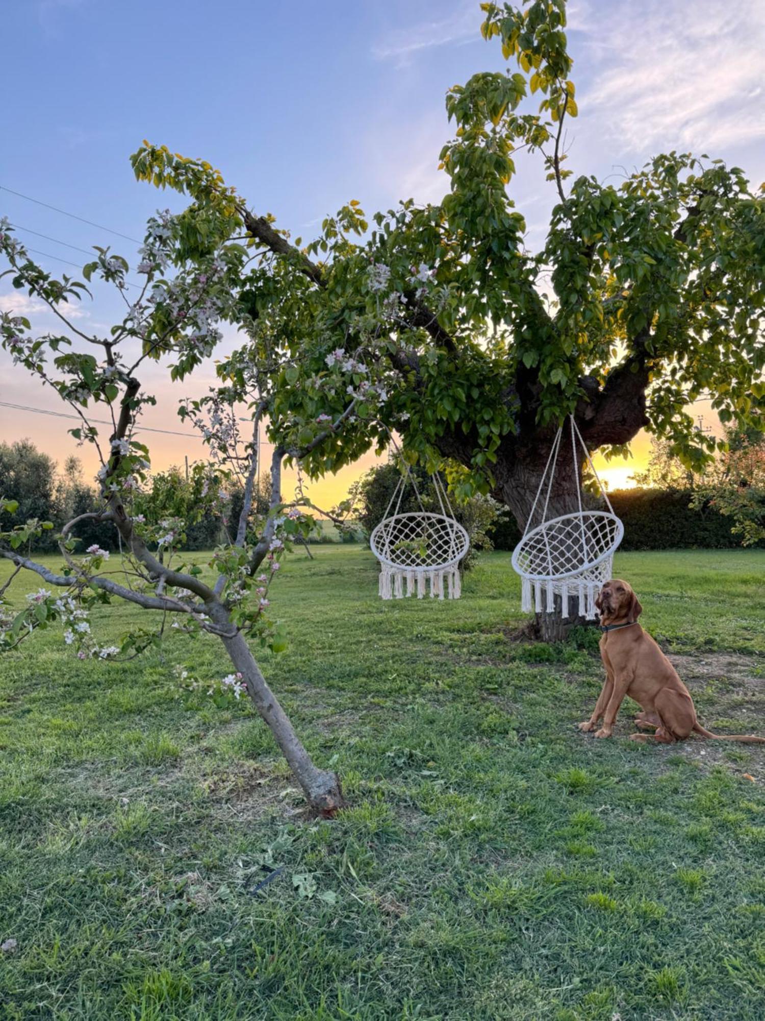 נומאנה Agriturismo Le Grange מראה חיצוני תמונה